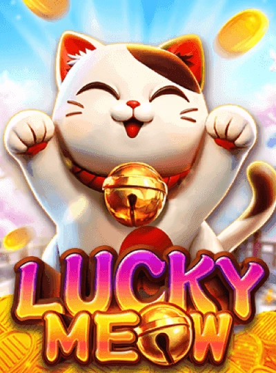 Bingo live hall game cover